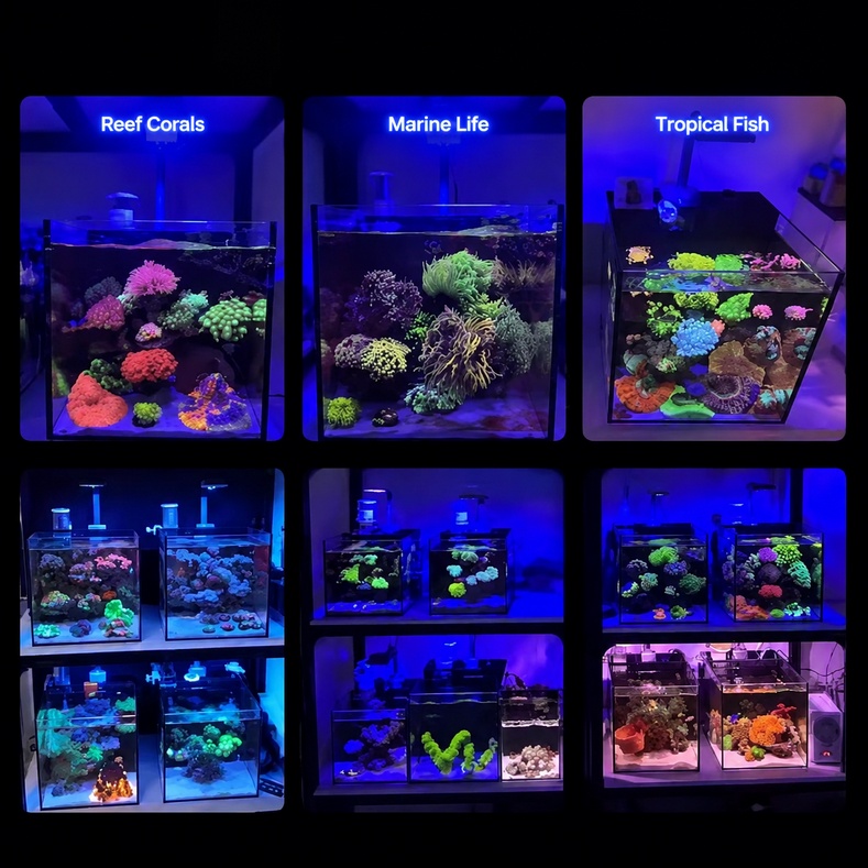 AS Coral Reef LED Aquarium Lig - Reef Lighting recension och pris